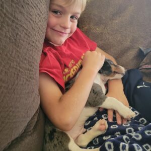 Kid happily caring his pet