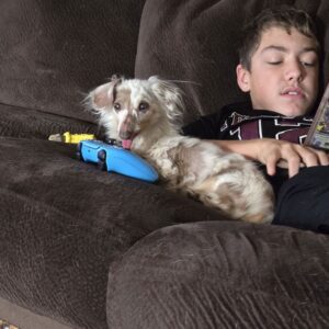 Kid and his puppy on the sofa relaxing